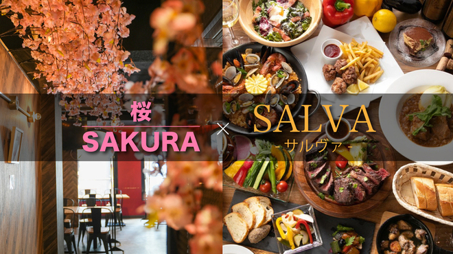 金のバル SALVA 吉祥寺店(サルヴァ) - 吉祥寺(ダイニングバー)の写真1