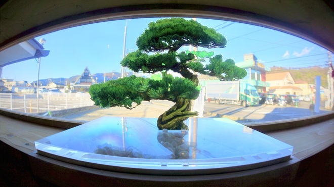 淡麗醤油らぁ麺 鶏松 - メイン写真: