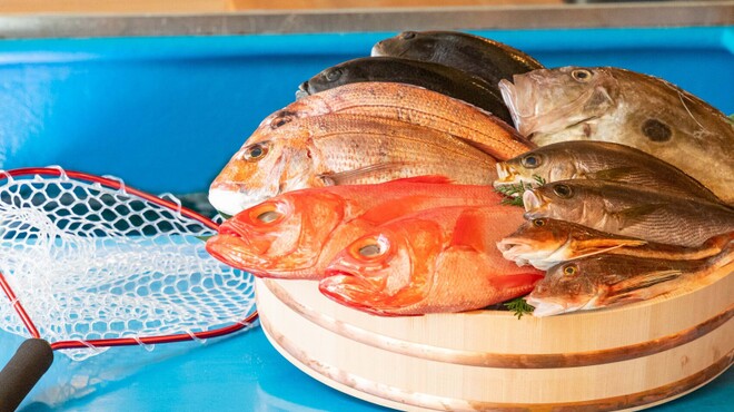 釣宿酒場マヅメ - メイン写真: