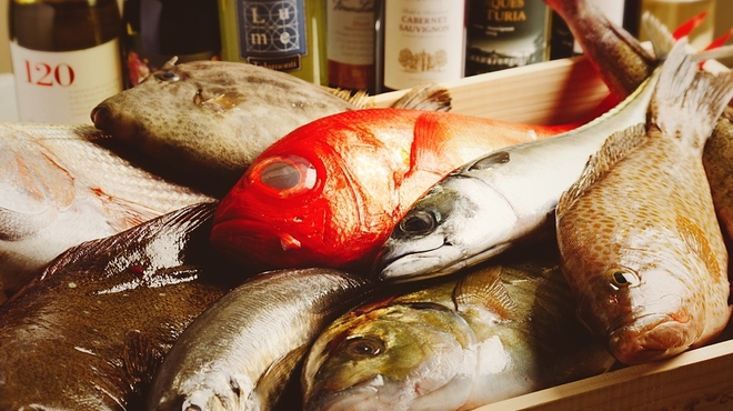 魚河岸素材厨房 魚HIDE - メイン写真: