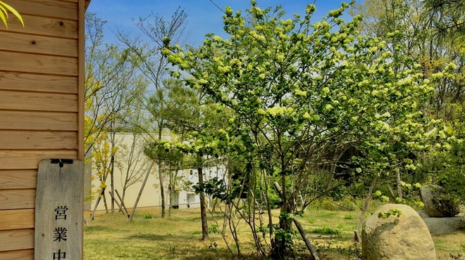 そば切り 石垣 - メイン写真: