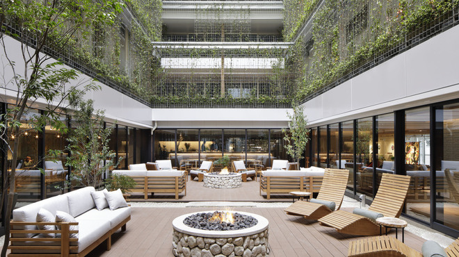 ヒソップ - メイン写真: