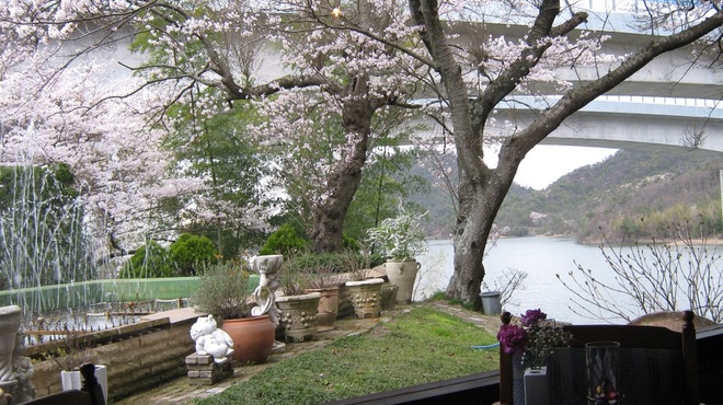 金仙寺湖畔三田屋 - 内観写真:桜が咲く季節の金仙寺湖は必見