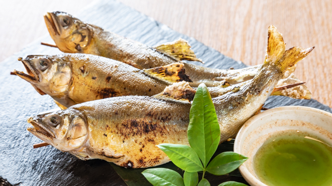 魚神 - メイン写真: