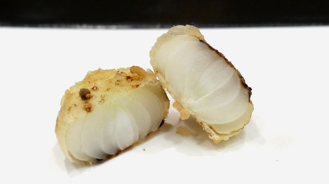天ぷら はせ川 - 料理写真: