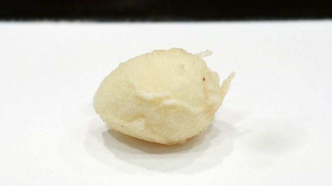 天ぷら はせ川 - 料理写真:
