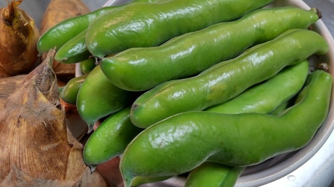 ニ太キ - メイン写真: