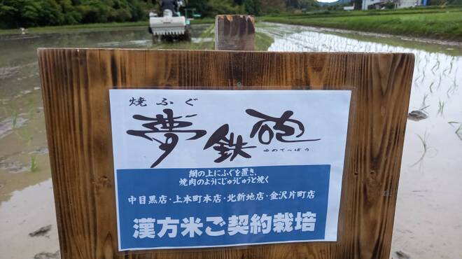 焼ふぐ夢鉄砲 - メイン写真: