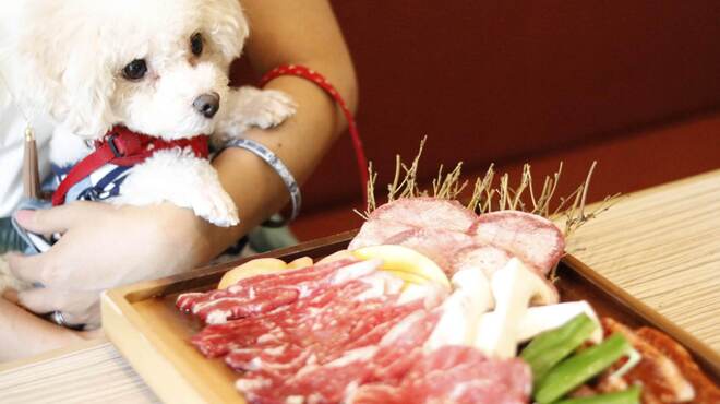 焼肉うしすけ - メイン写真: