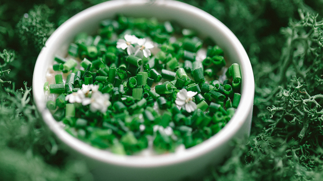 HELIOTROPE - 料理写真: