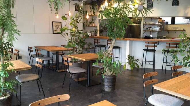 C'EST CHOUETTE - メイン写真: