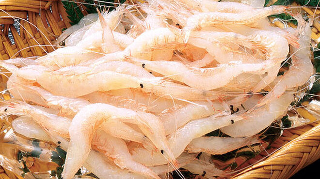 北陸料理 新越 - 料理写真:
