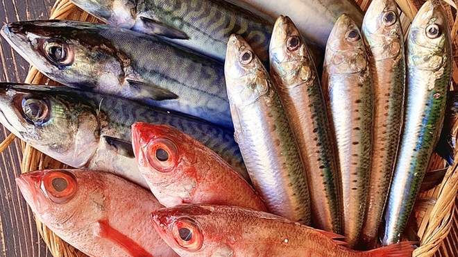 五十八 - メイン写真: