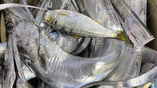 もつやき ばん - メイン写真: