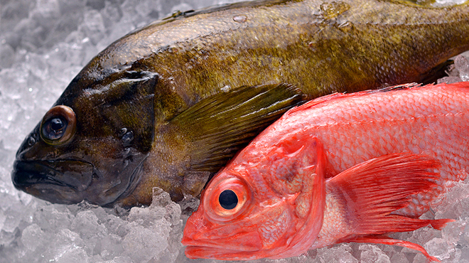 海味はちきょう - メイン写真: