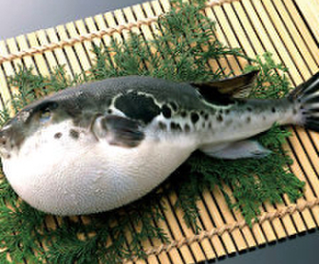 かに福 柏店 - メイン写真: