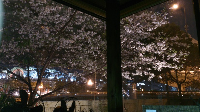 志津可 - 内観写真:春には桜が咲きます