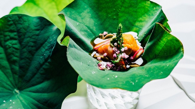 novel - メイン写真: