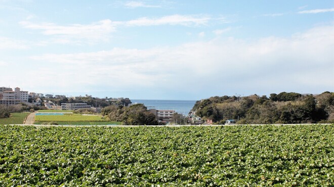 人形町GRATO - メイン写真: