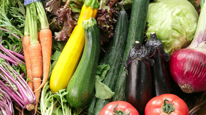 梅田 日本酒 ワイン 隠れ家 リール食堂 - メイン写真: