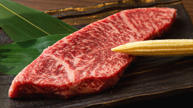 ほたる翔 - メイン写真: