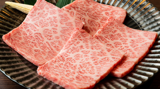 ほたる翔 - メイン写真: