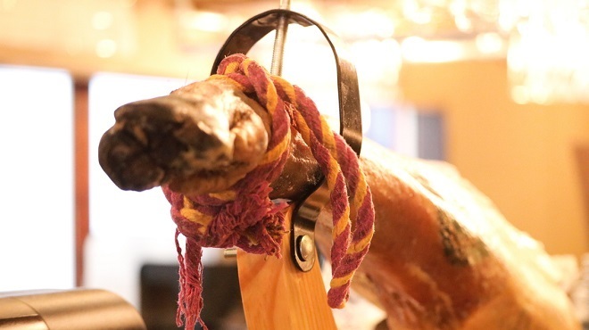 Organicoo - メイン写真: