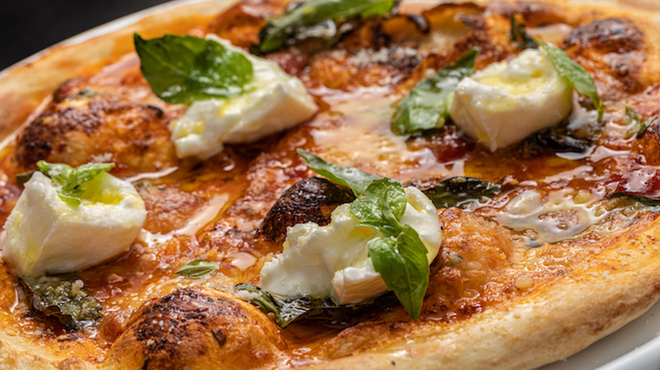 Harold & Co - メイン写真: