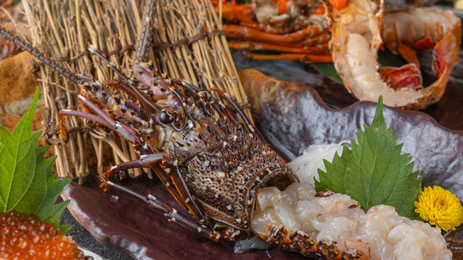 完全個室居酒屋 あばれ鮮魚 - メイン写真: