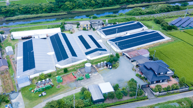 うなぎ松岡 - メイン写真: