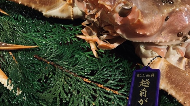 御料理 一燈 - 料理写真: