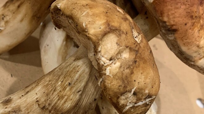 ピッツェリア ドーモ - メイン写真: