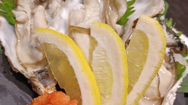 토로로토 사카나 치비마루 쇼우텐