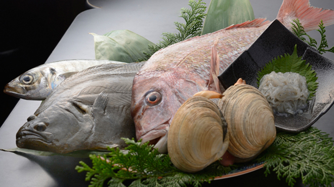 토로로토 사카나 치비마루 쇼우텐