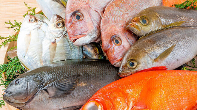 釣宿酒場マヅメ - メイン写真: