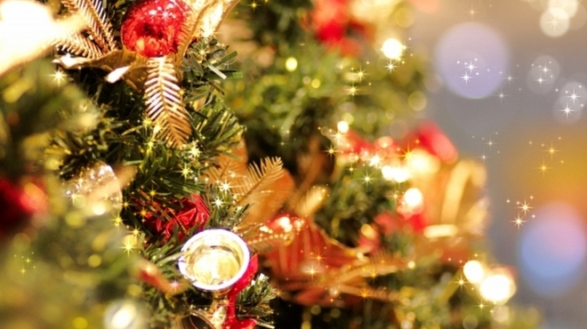 ELANCE - 料理写真:Ｘｍａｓ画像