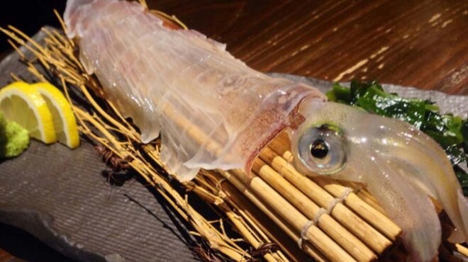 春吉くじら - 料理写真: