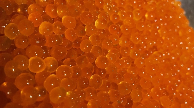 イザカヤ コン - メイン写真: