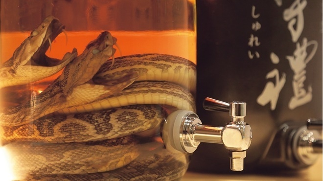 立喰い処 ちょこっと寿し - メイン写真: