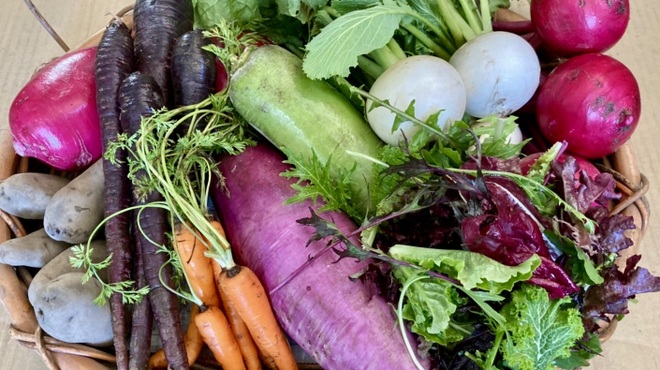 オイスターバー COVO - メイン写真: