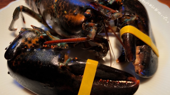 ステーキ割烹・鉄板料理　けんぶろ - メイン写真: