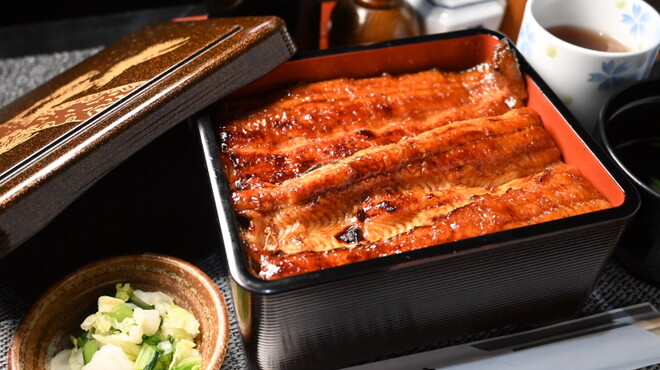 新橋 うなぎのお宿 - メイン写真: