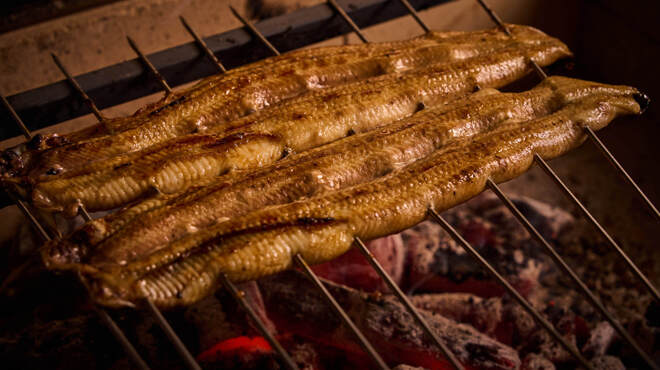 地焼うなぎ 法善寺山かづ - メイン写真:
