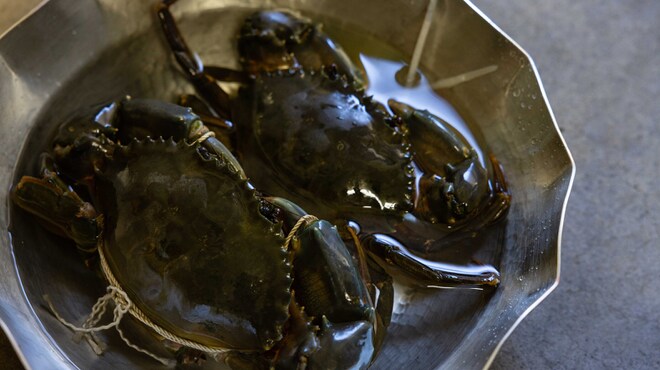 日本料理FUJI - メイン写真: