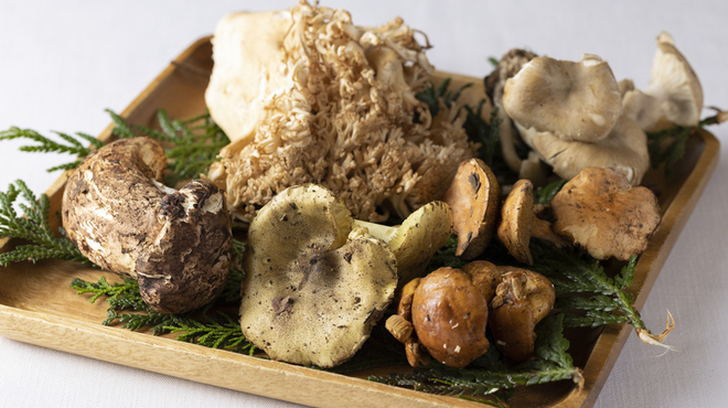 ラトリエ・ドゥ・ノト - メイン写真: