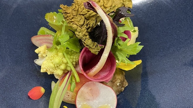 北鎌倉 紫−ゆかり− - 料理写真:鎌倉・三浦直送20品目の彩りサラダ