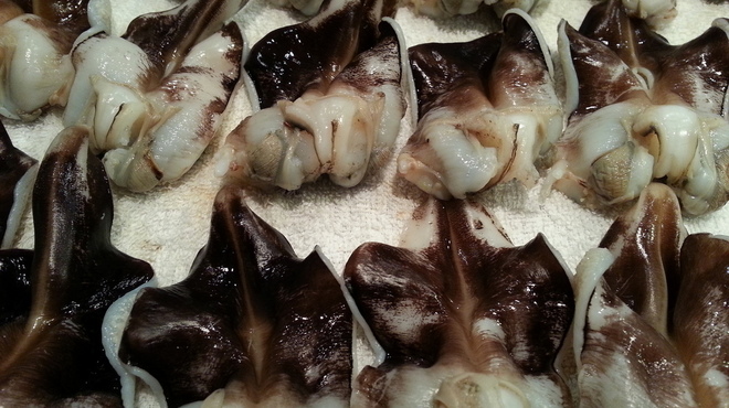 すし処 錦 - 料理写真:いまが旬のとり貝