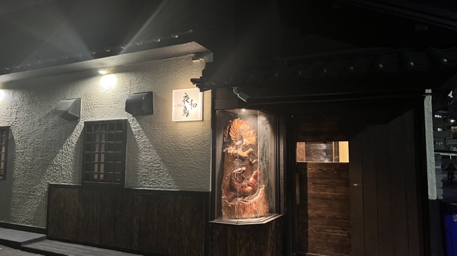 夜和鳥 - メイン写真: