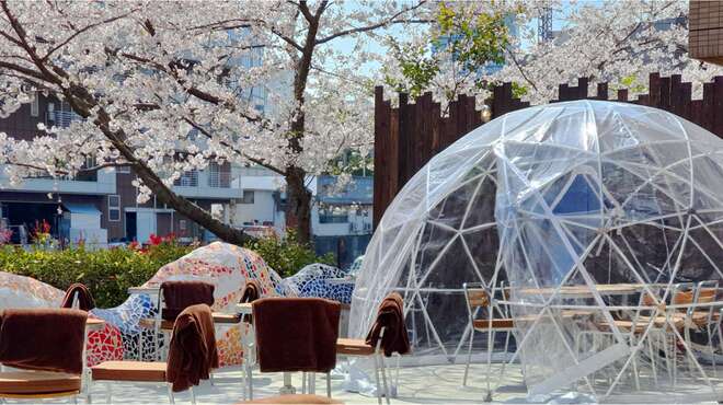 Mi tiempo - メイン写真: