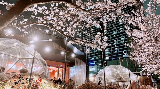 Mi tiempo - メイン写真: